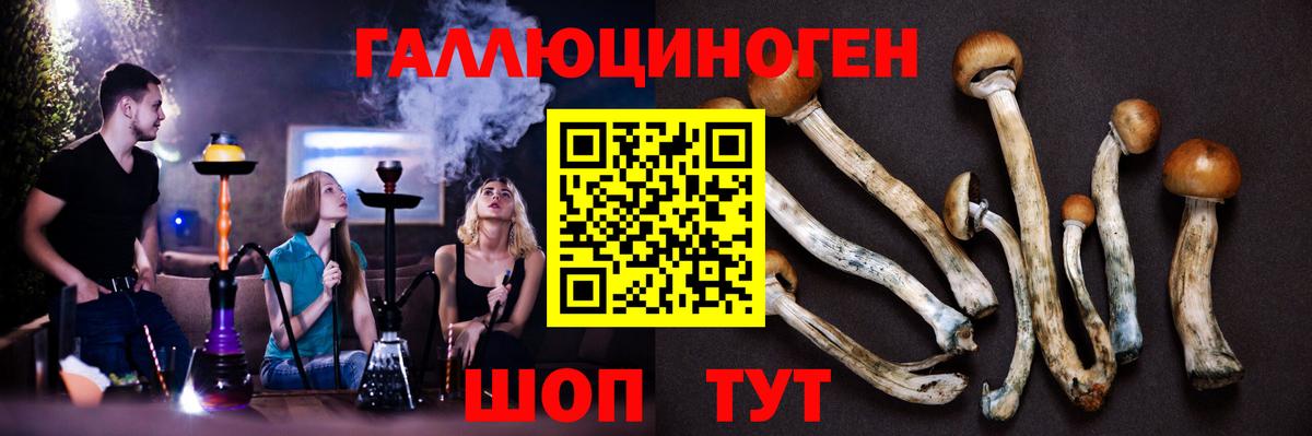 Галлюциногенные грибы Psilocybine cubensis  Вход с VPN  Юрга 